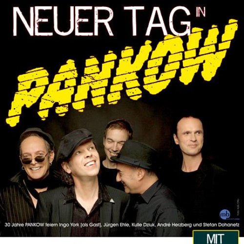 Das Plakat der Tour "Neuer Tag in Pankow" mit großem gelbem Logo und Foto der 5 Bandmitglieder